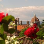 Firenze vista dal giardino delle rose
