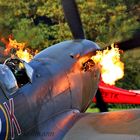 Firespitting Spitfire