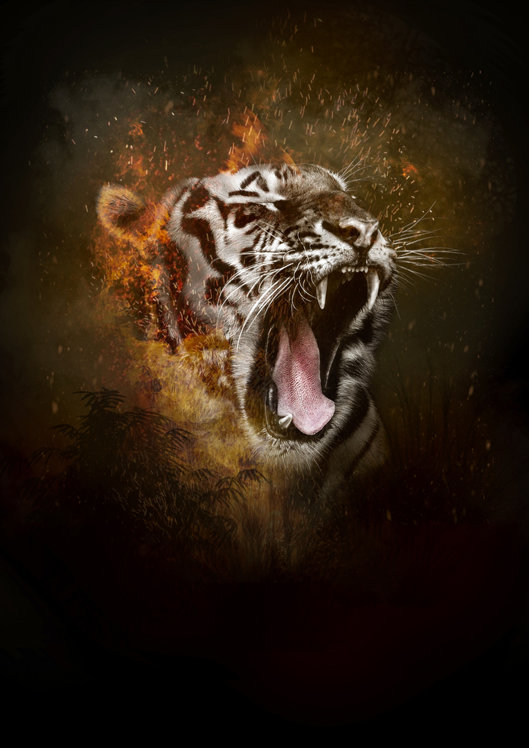 ***FireTiger***