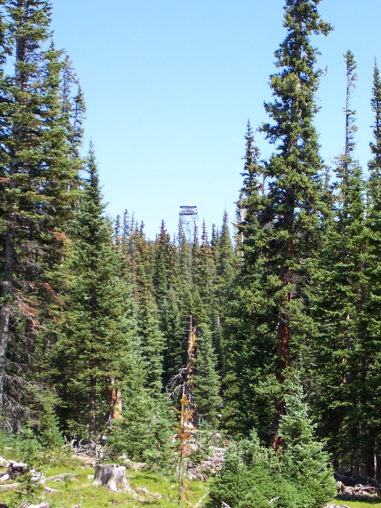 Firetower on Deadman elev 11,000 feet