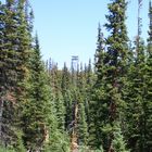 Firetower on Deadman elev 11,000 feet