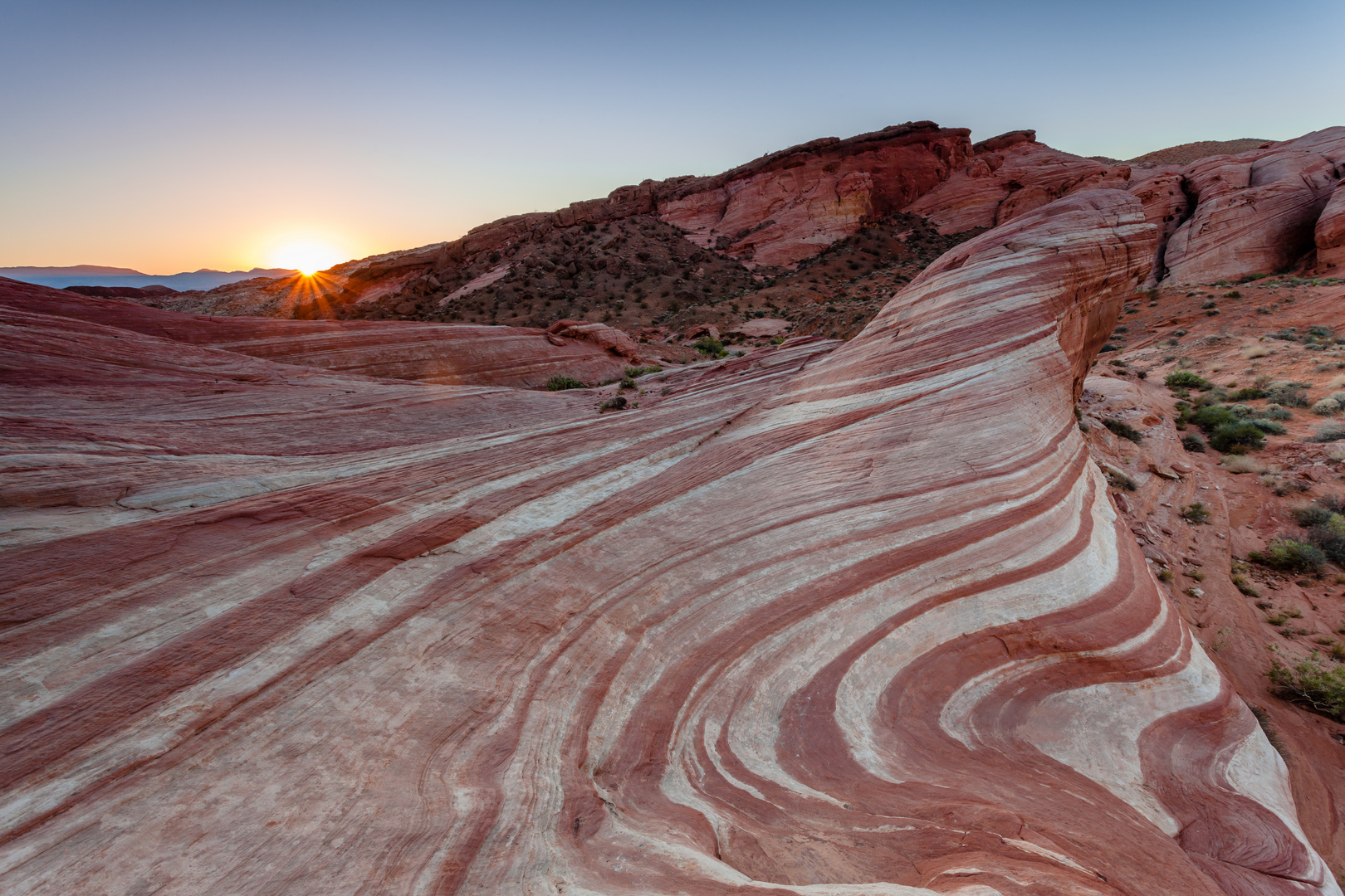 Firewave - Nevada