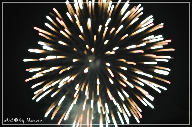 Firework 01