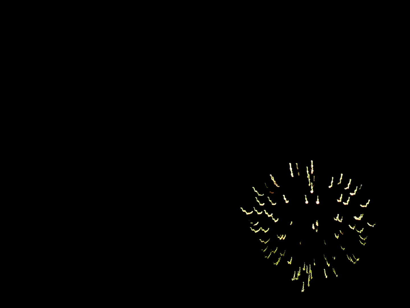 Firework