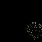 Firework