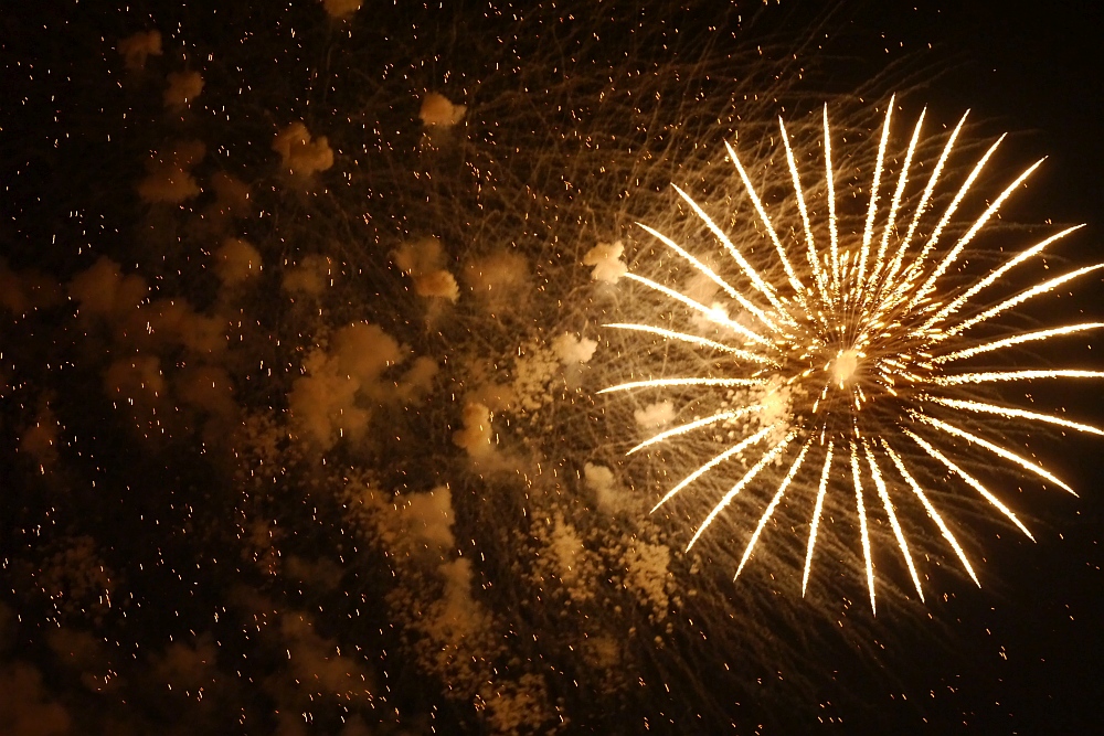 Firework Flowers