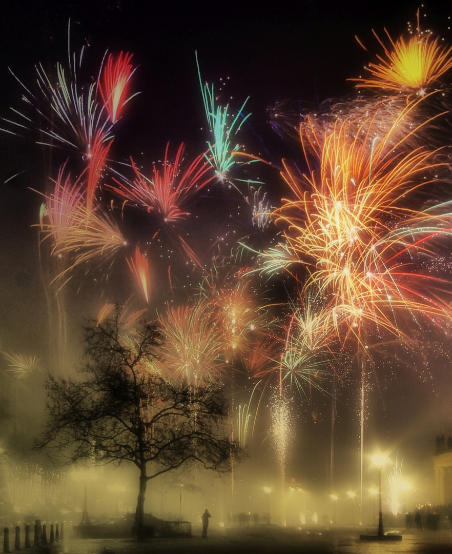 Firework in Front of the Opera