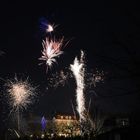 Firework - Vienna