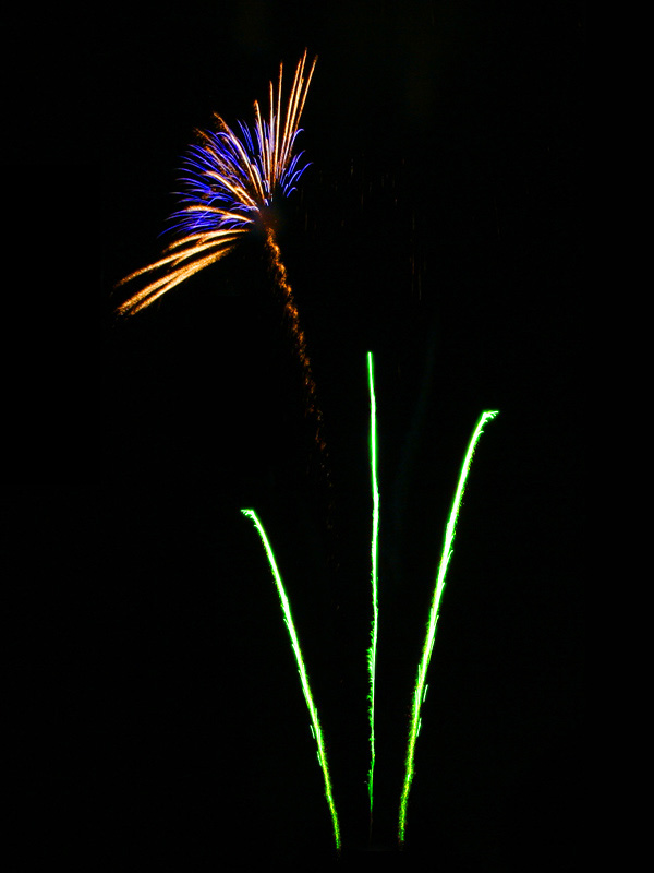 Fireworkflower