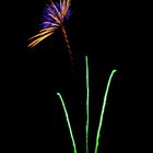 Fireworkflower