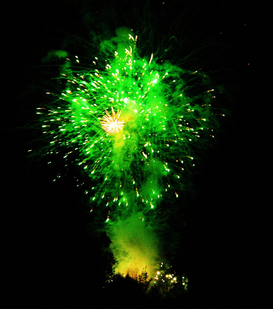 Fireworks among the trees