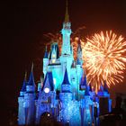 Fireworks at Disney castle - WDW