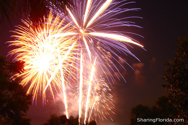 Fireworks in Orlando, Florida