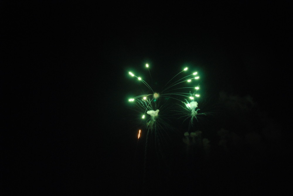 fireworks: Little Butterfly