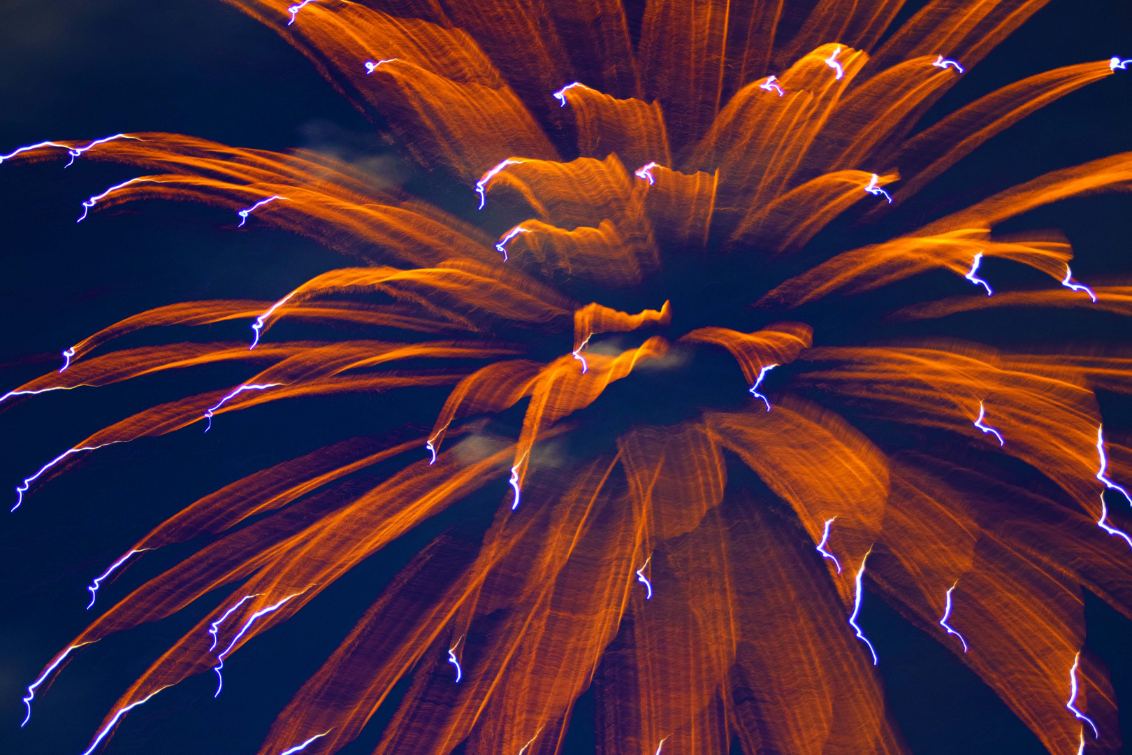 Fireworks - Looks like a flower isnt it!?