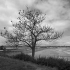 First Beach Newport R.I. Usa