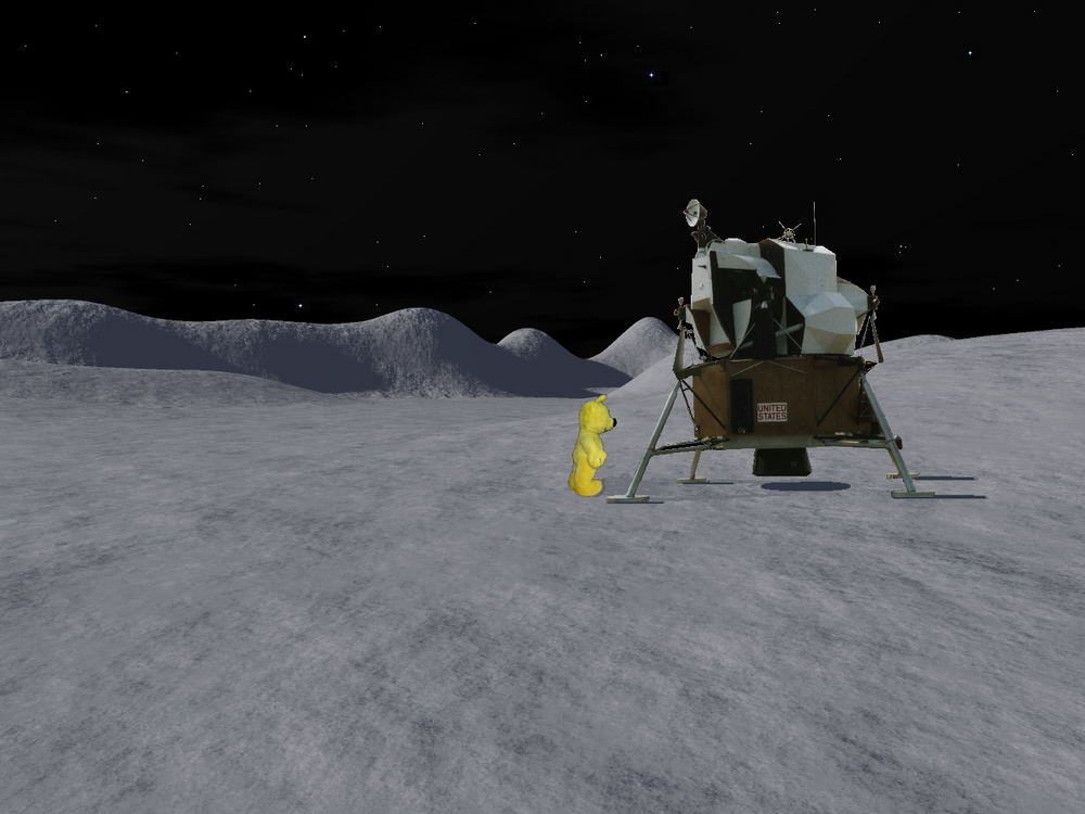 First Bear on Moon