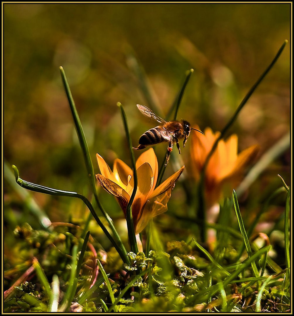 First day of spring