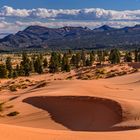 First Dune, Coral Pink Sand Dunes SP, Utah, USA