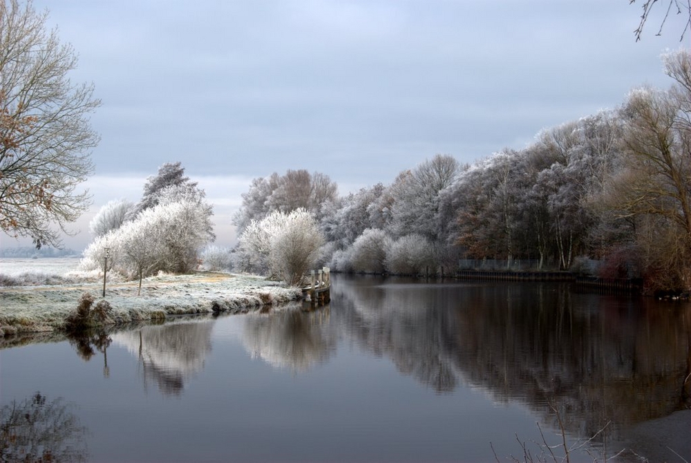 FIRST FROST