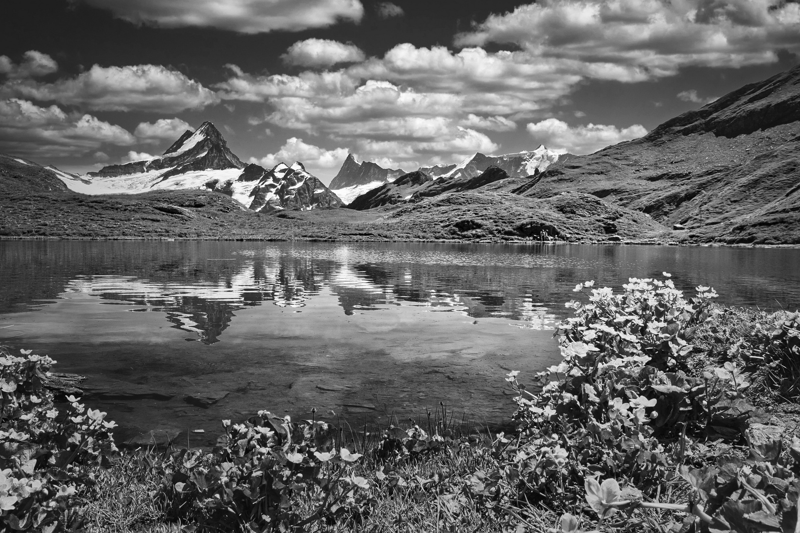 First, Grindelwald, Berneroberland, Schweiz