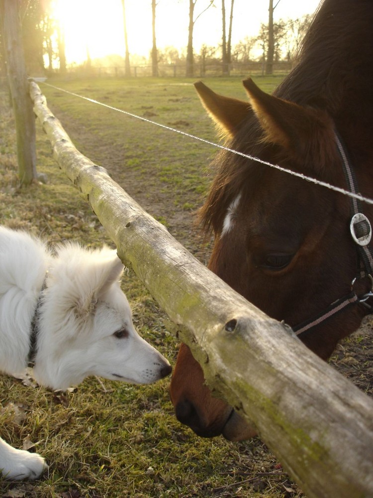 First Kiss :-)