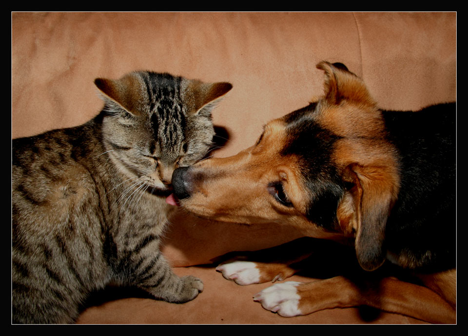 First Kiss