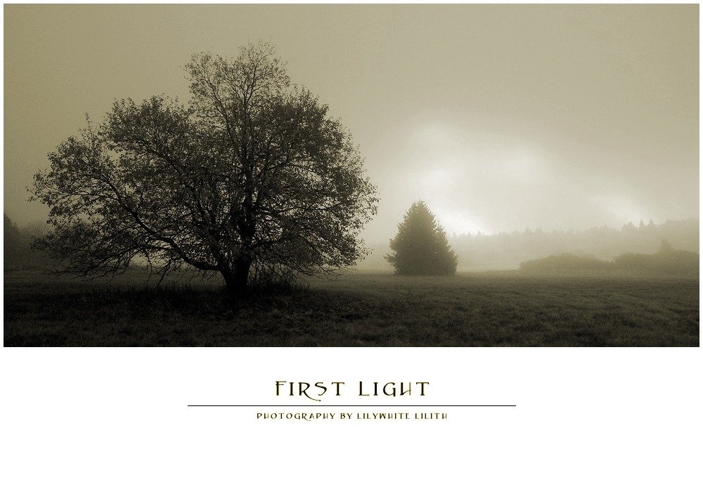 first light