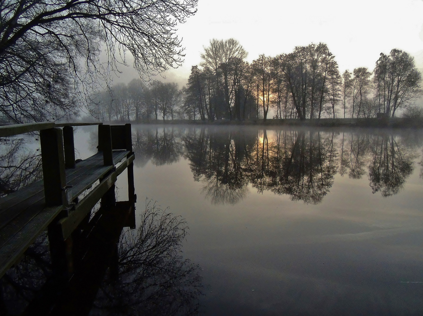 First light in fog