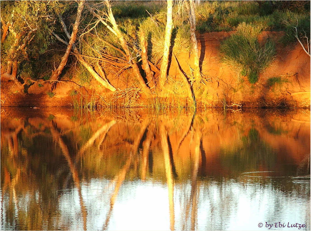 *** First Light on the Riverbank at Three Mile Pool / Onslow WA ***