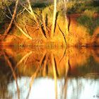 *** First Light on the Riverbank at Three Mile Pool / Onslow WA ***