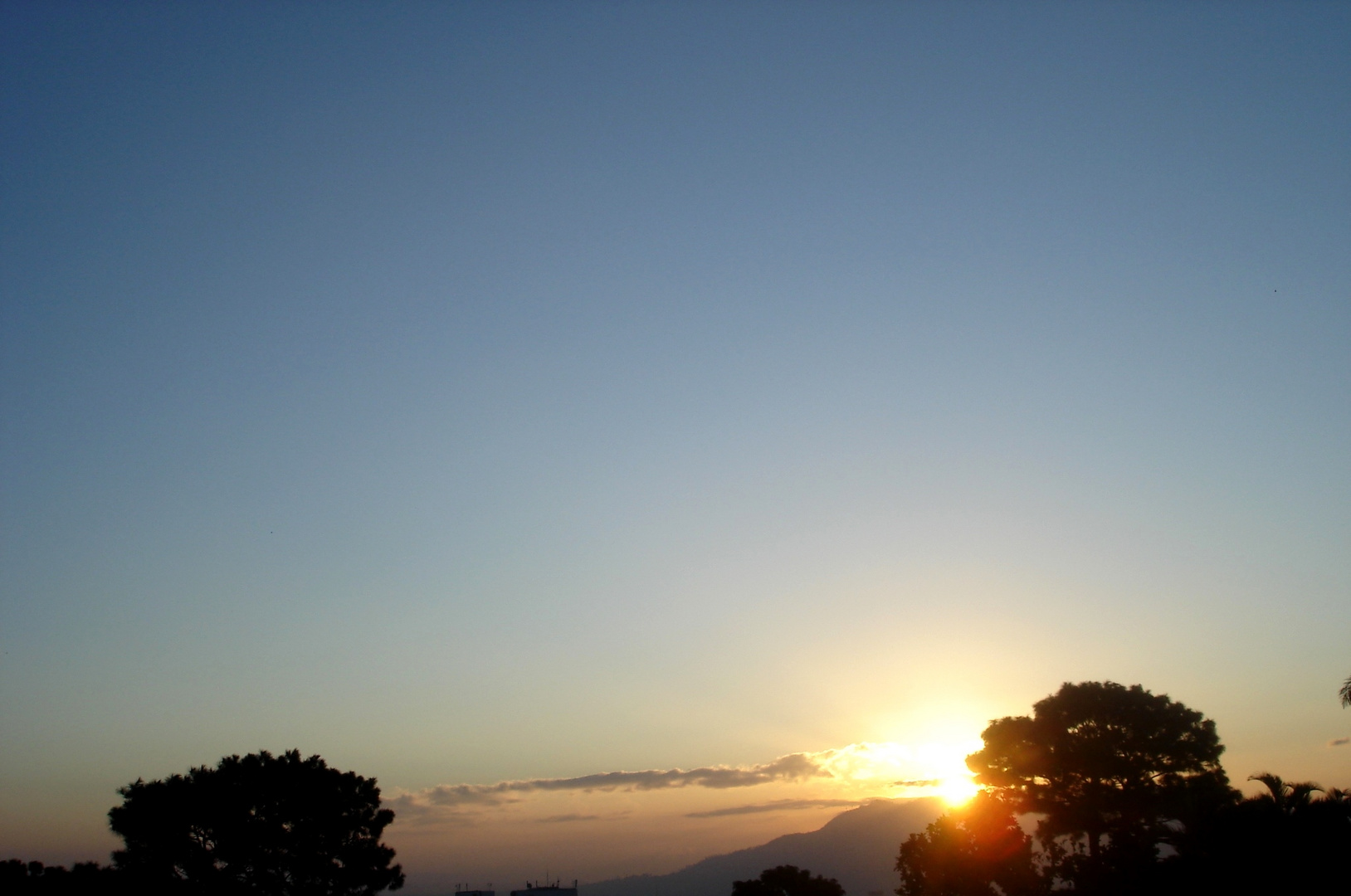 First Morning Light