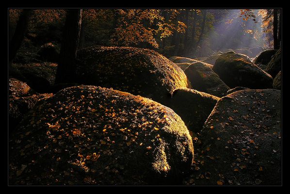 « First Morninglight »