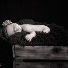 First Newborn Shooting ... *2*