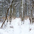 first on the path after snowfall at night