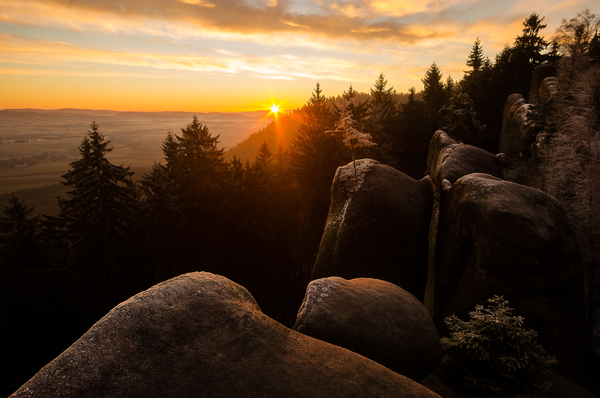 first rays