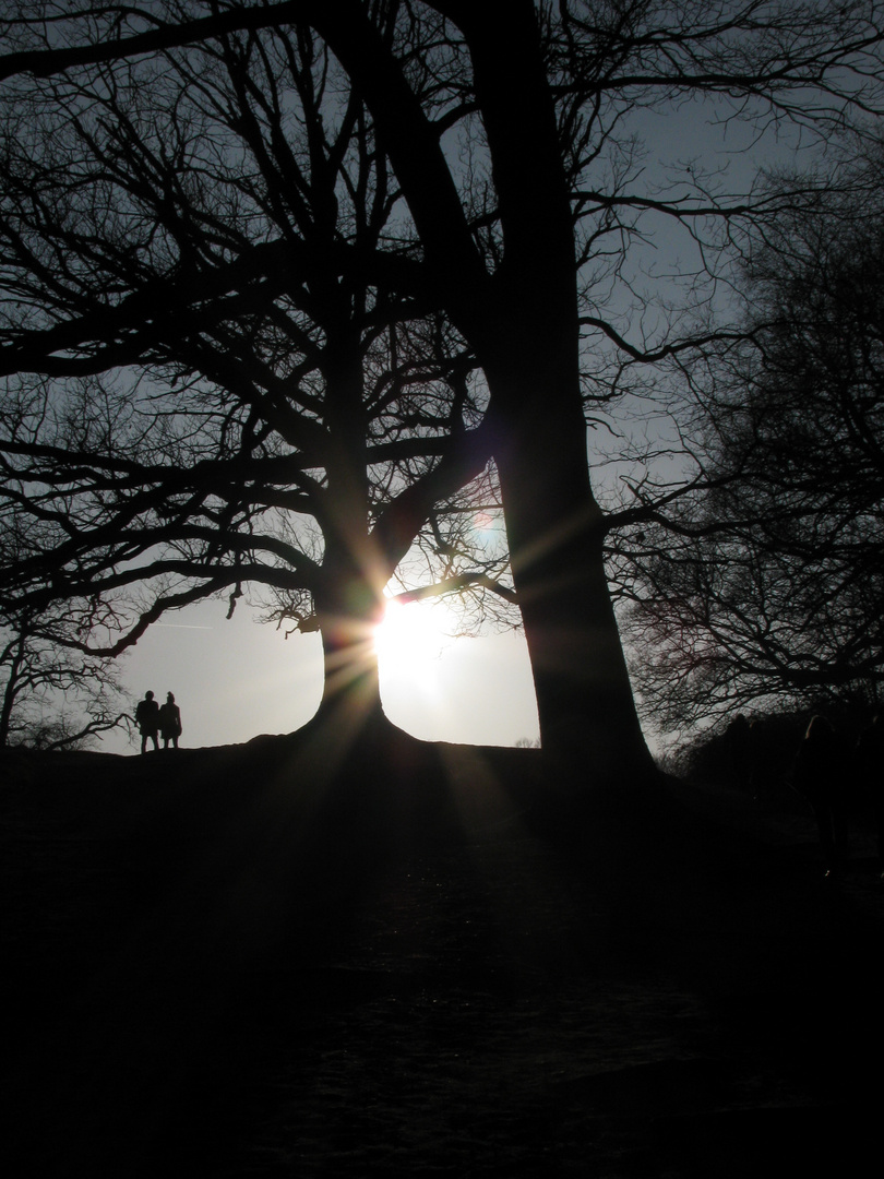 first rays of sun