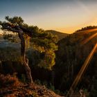 First rays of sun in the morning