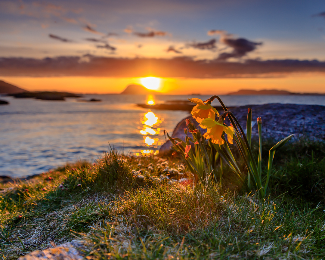 first signs of spring on the Norwegian coast