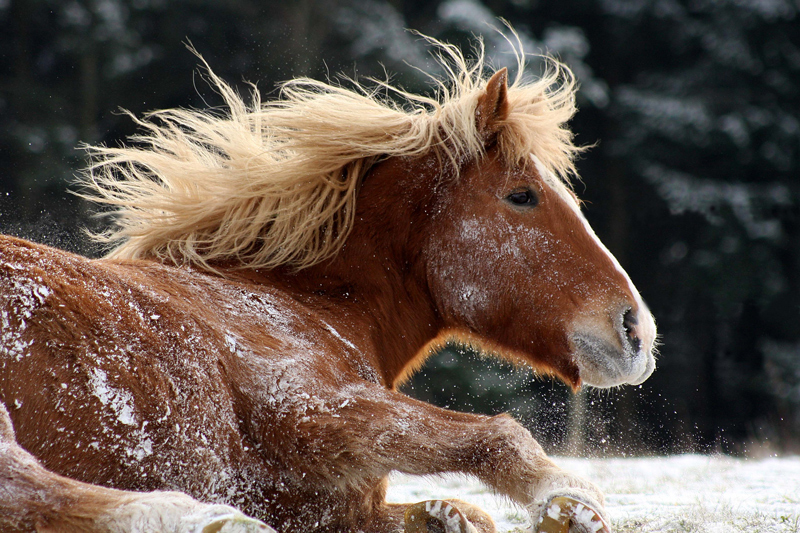 first snow