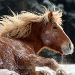 first snow