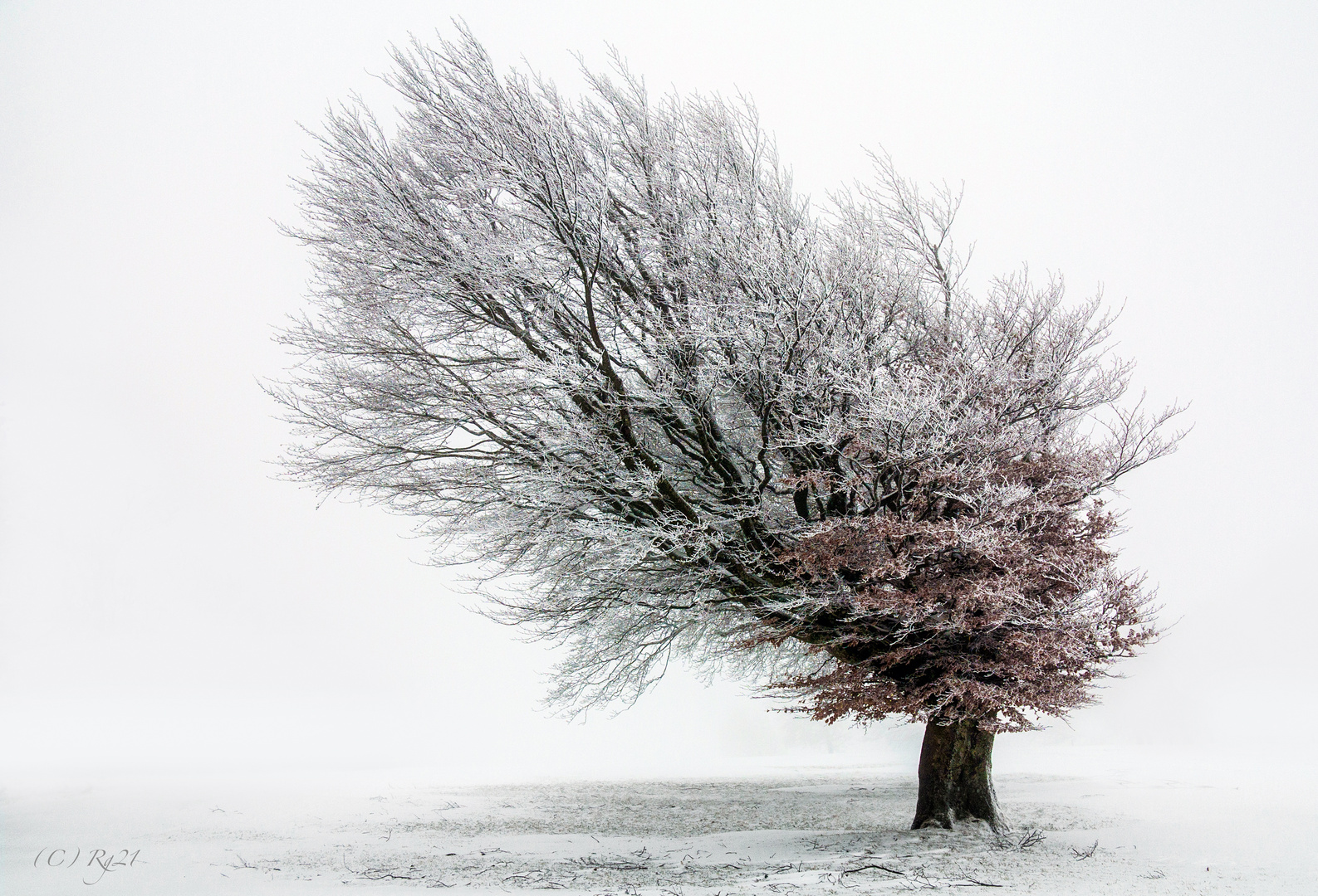 first snow 