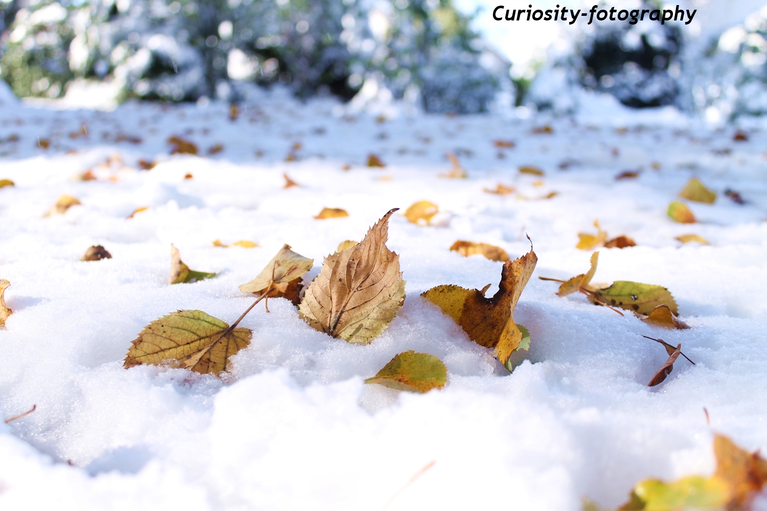 first snow