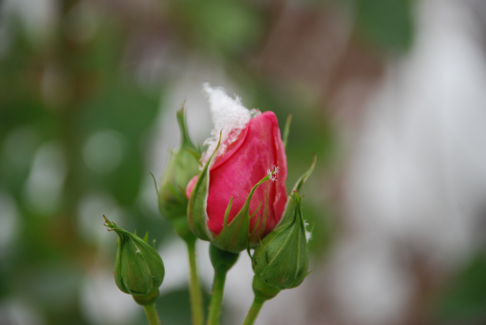 First snow