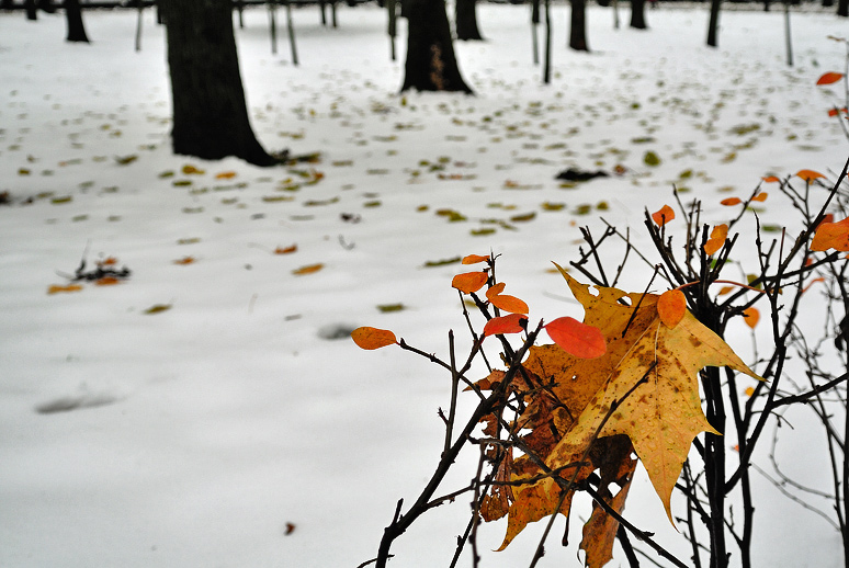 first snow