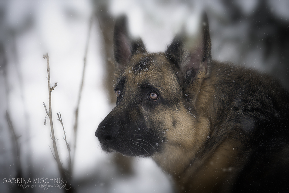 first snow