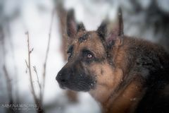 first snow