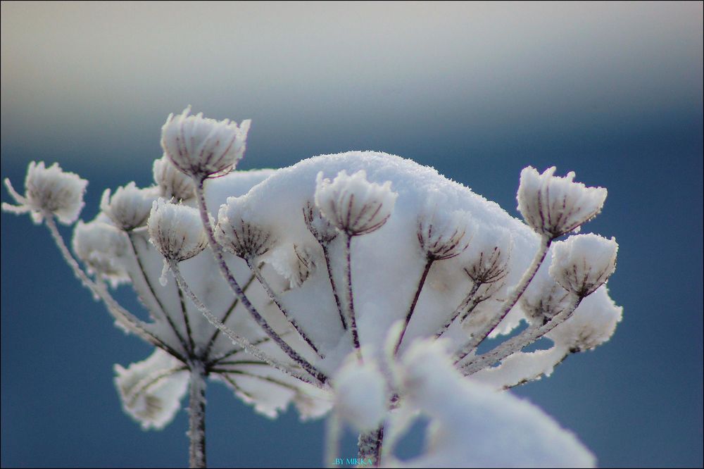 First Snow...