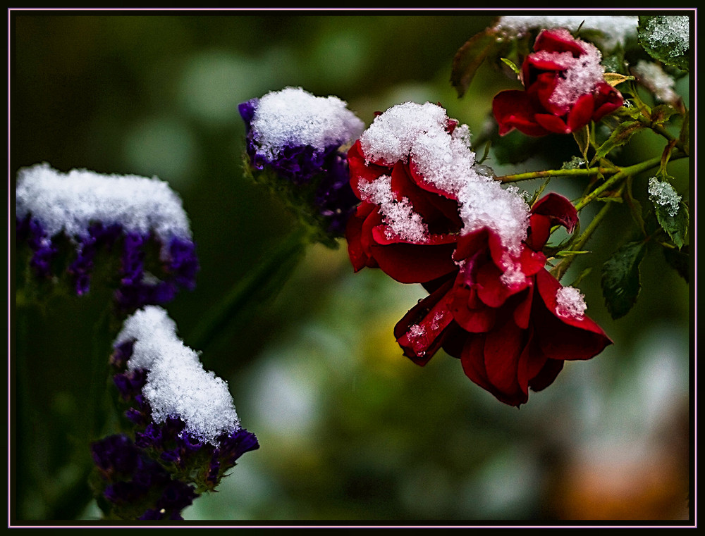 First snow (in October)