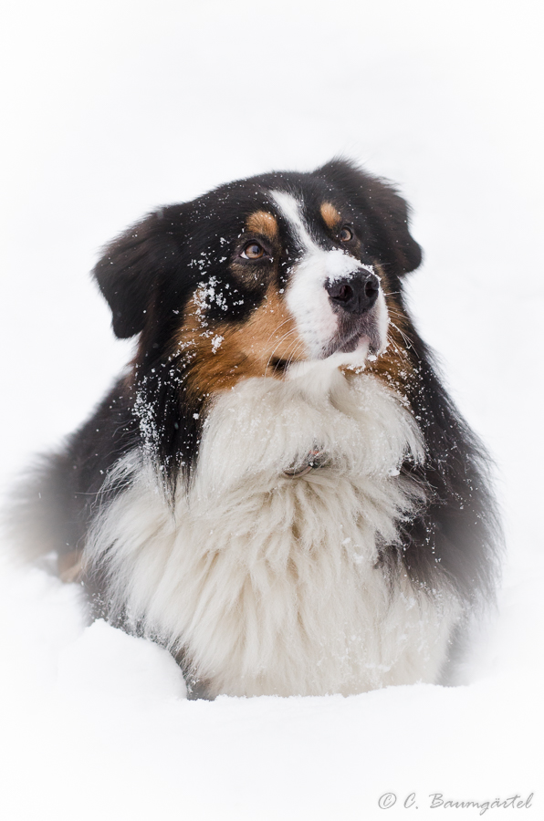 First snow of the year